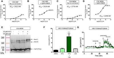 Identification of GLPG/ABBV-2737, a Novel Class of Corrector, Which Exerts Functional Synergy With Other CFTR Modulators
